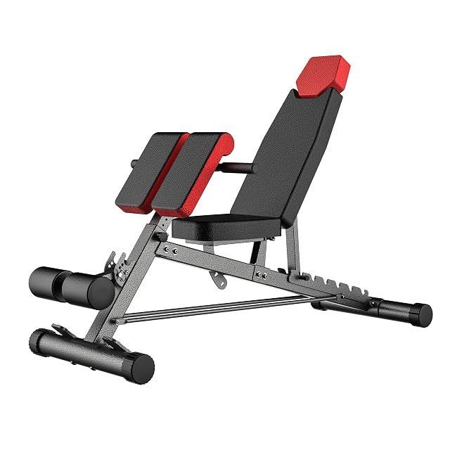 Finer Form verstellbare FID-Bank mit Roman-Chair-Funktion und Transportrollen