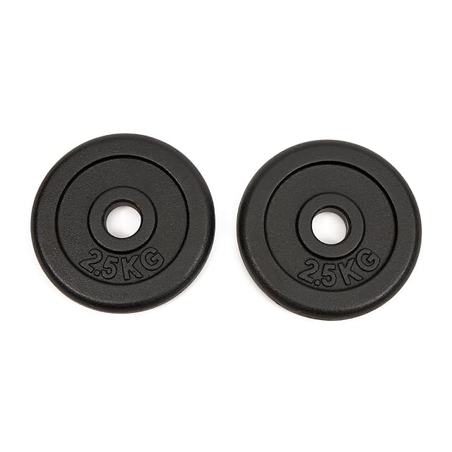 Zwei WORQOUT schwarze Gusseisen-Hantelscheiben zu 2,5 kg mit 30-mm-Mittelbohrung